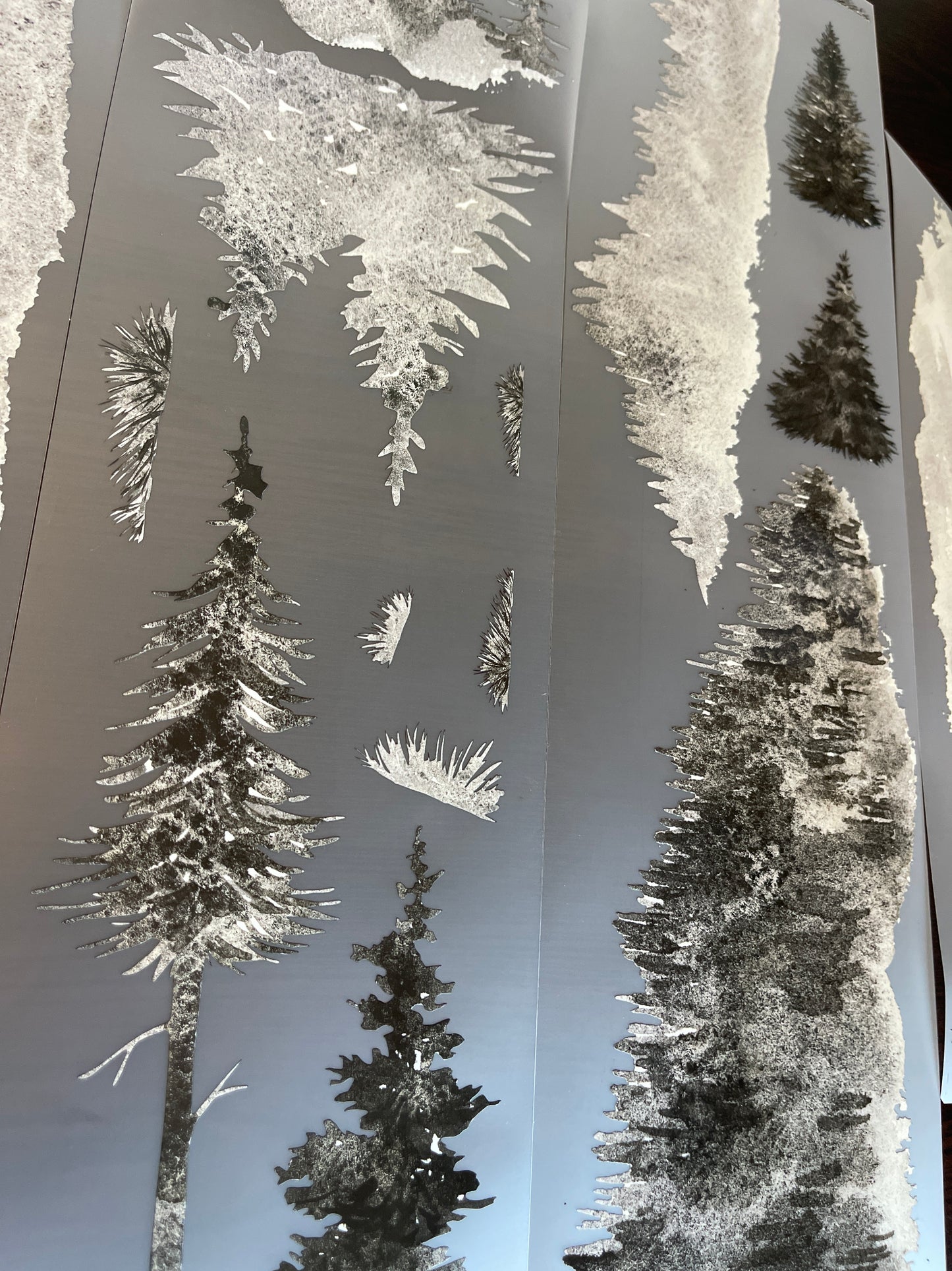 Giant Shadow Mountain PET Tapes