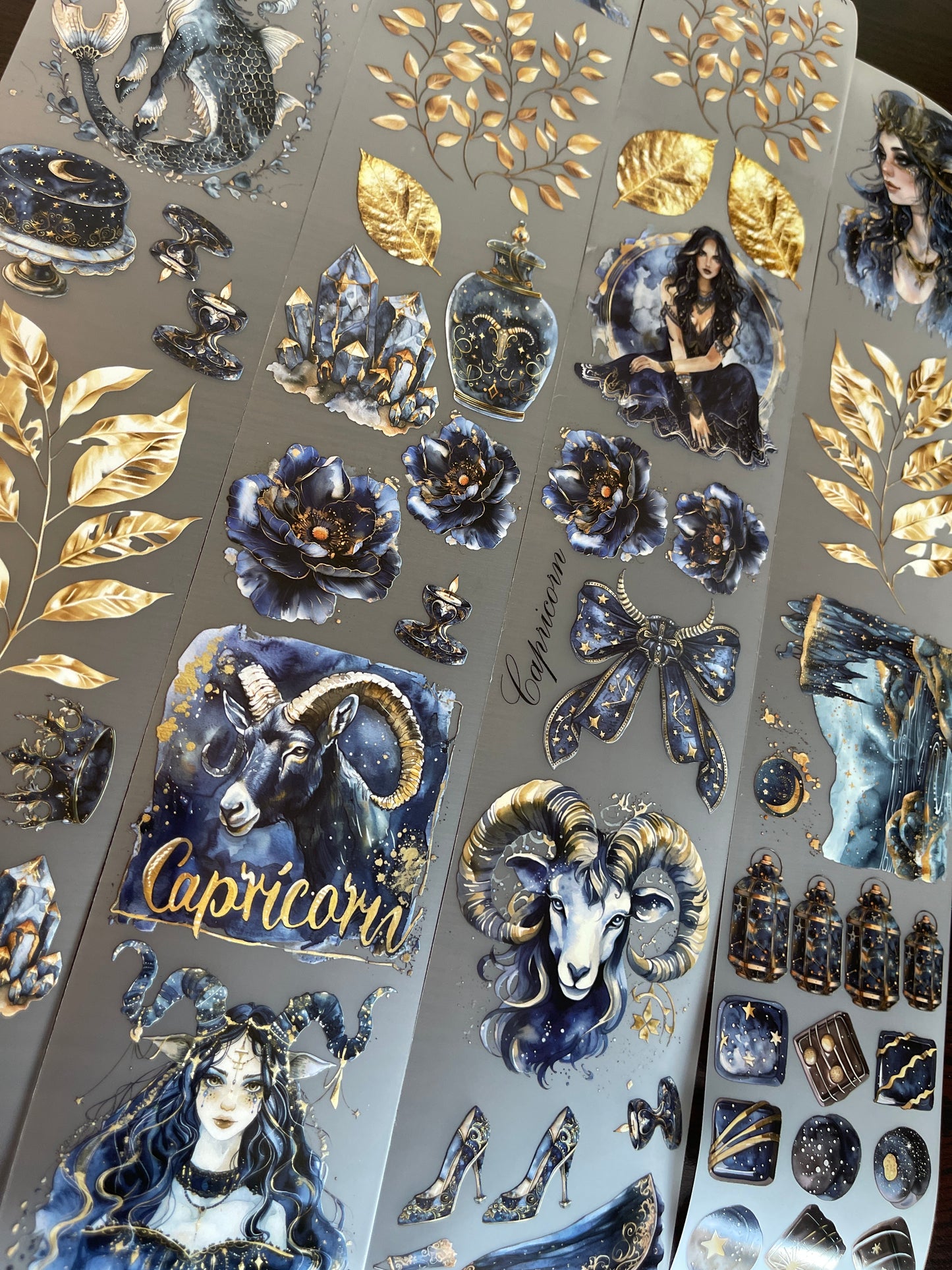 Capricorn