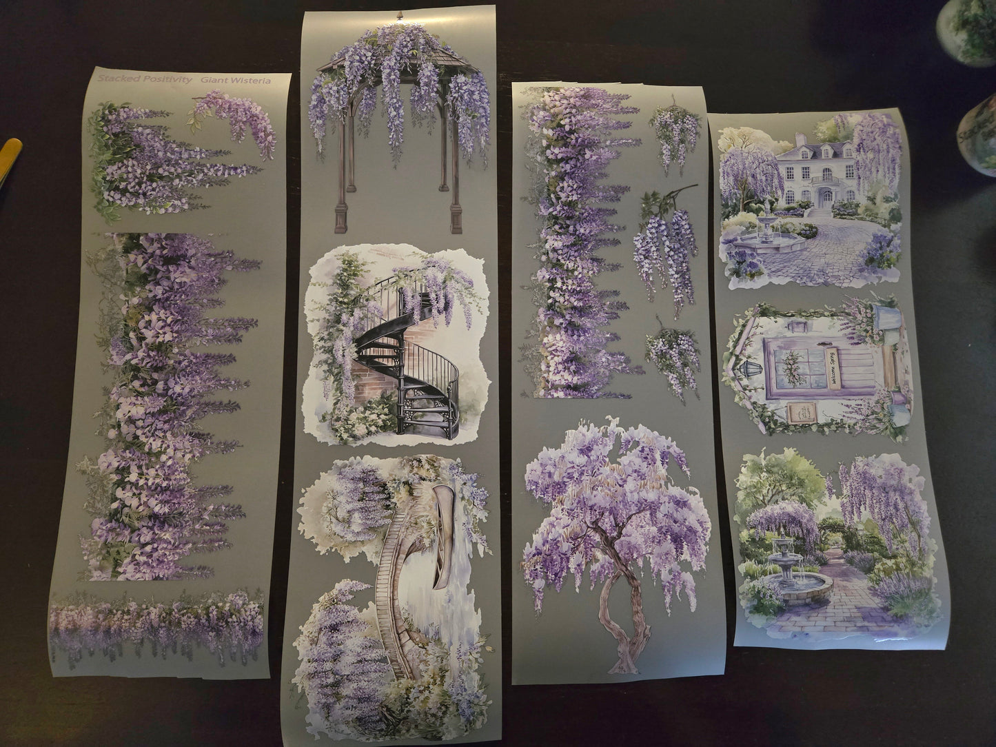 February launch - Giant Wisteria - 12cm x 150cm