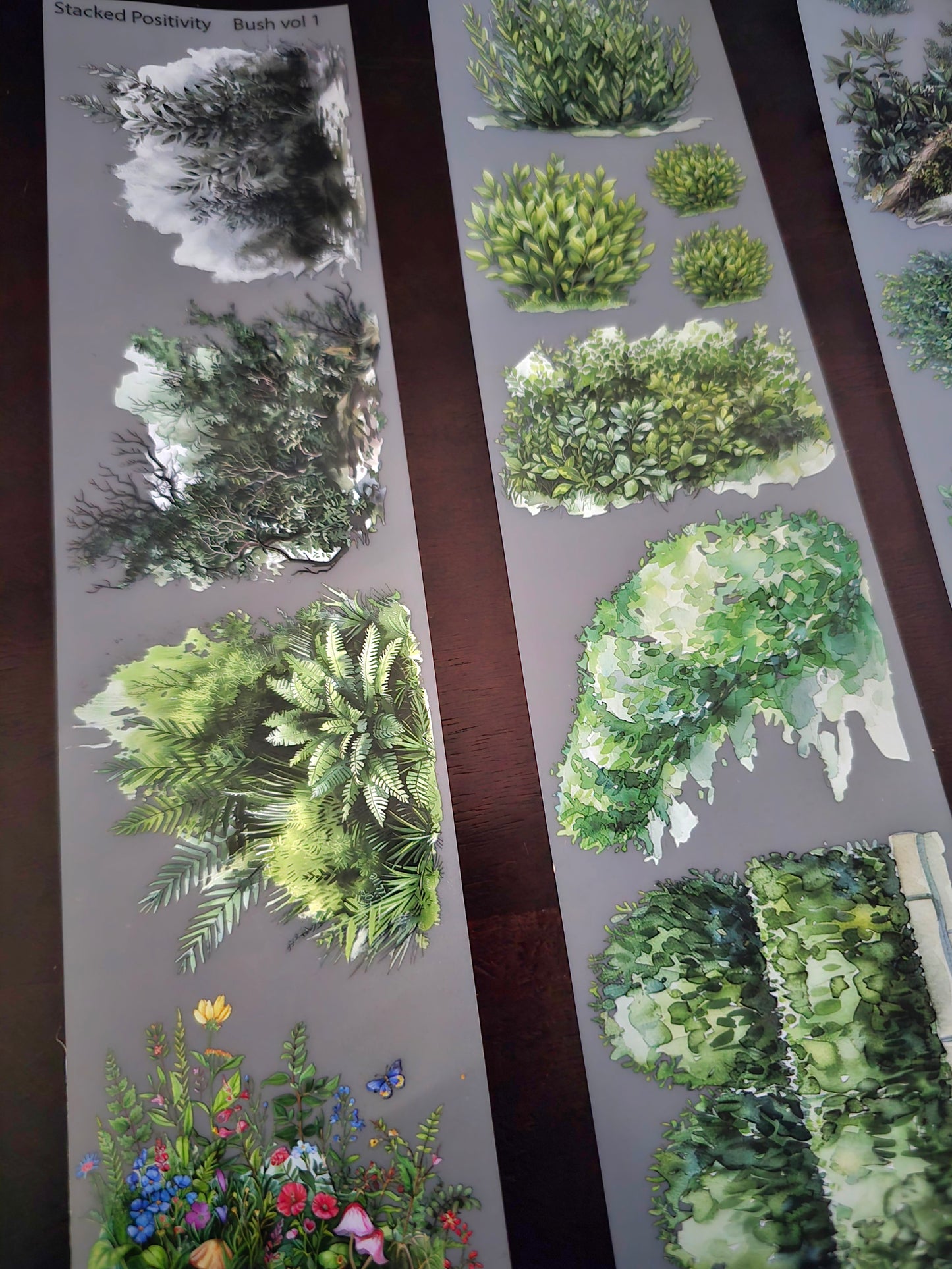 FEBRUARY LAUNCH- BUSH 2.0 - 7CM X 150CM