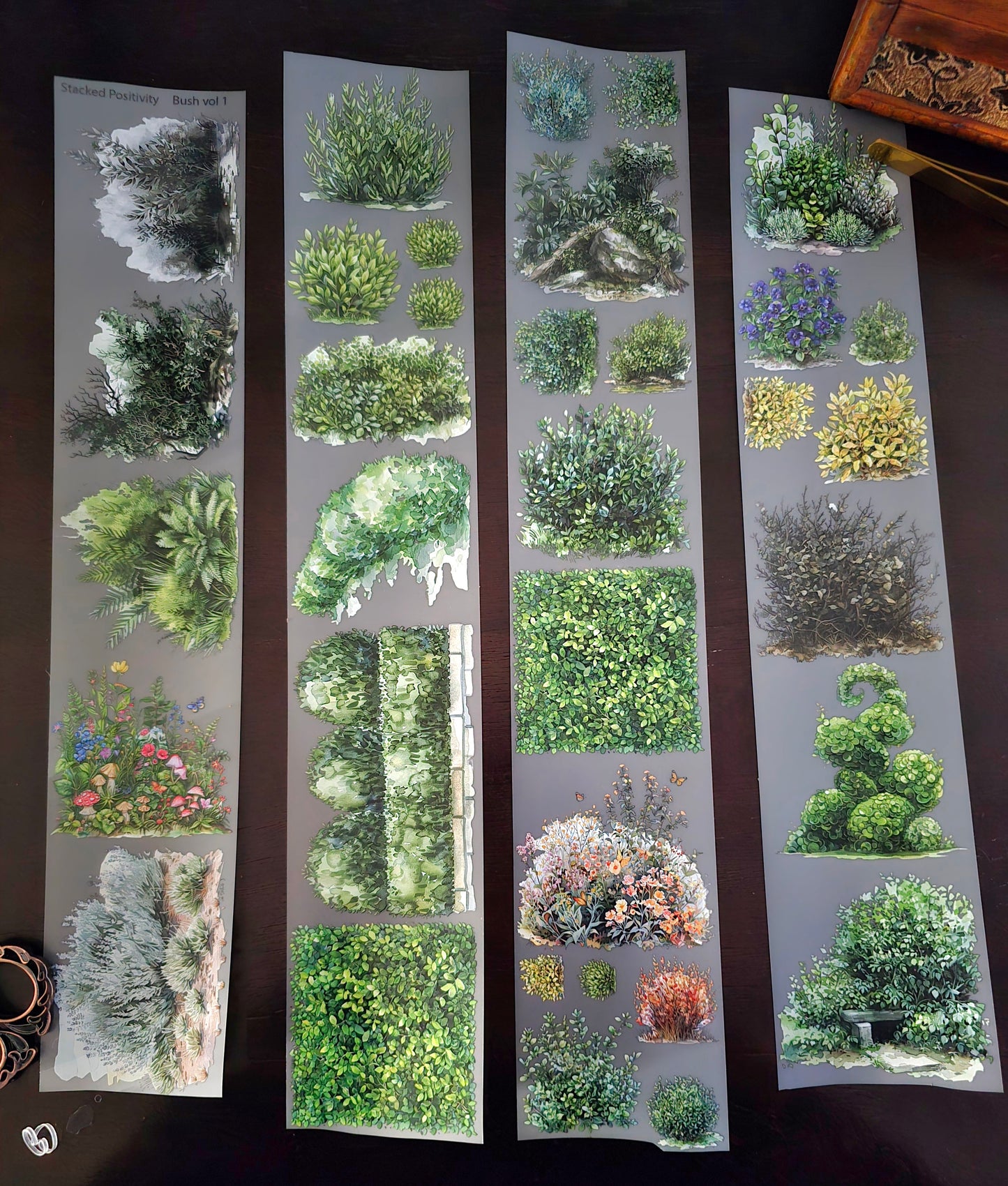 FEBRUARY LAUNCH- BUSH 2.0 - 7CM X 150CM