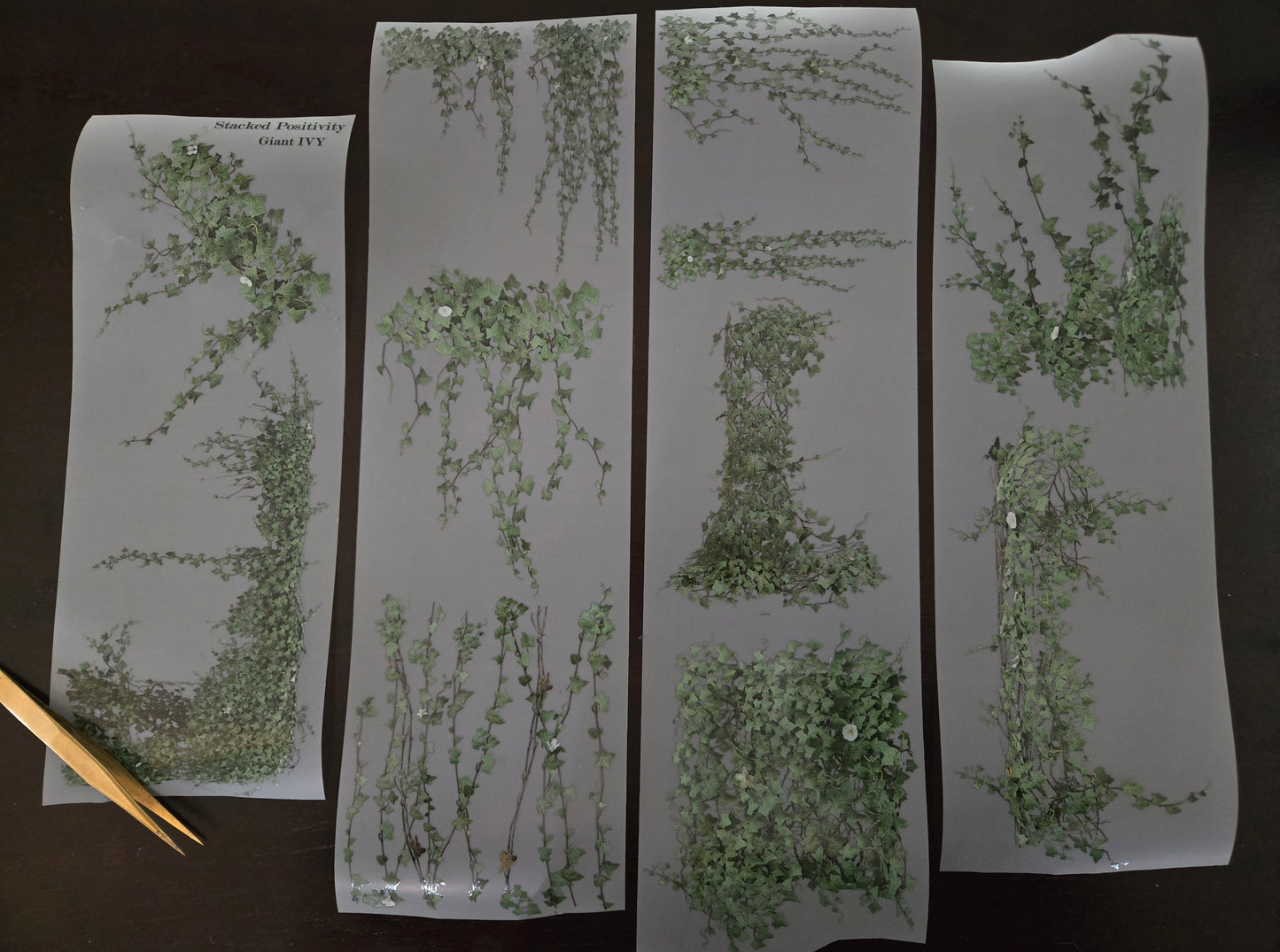 GIANT IVY - 12CM X 150CM - MARCH REALEASE