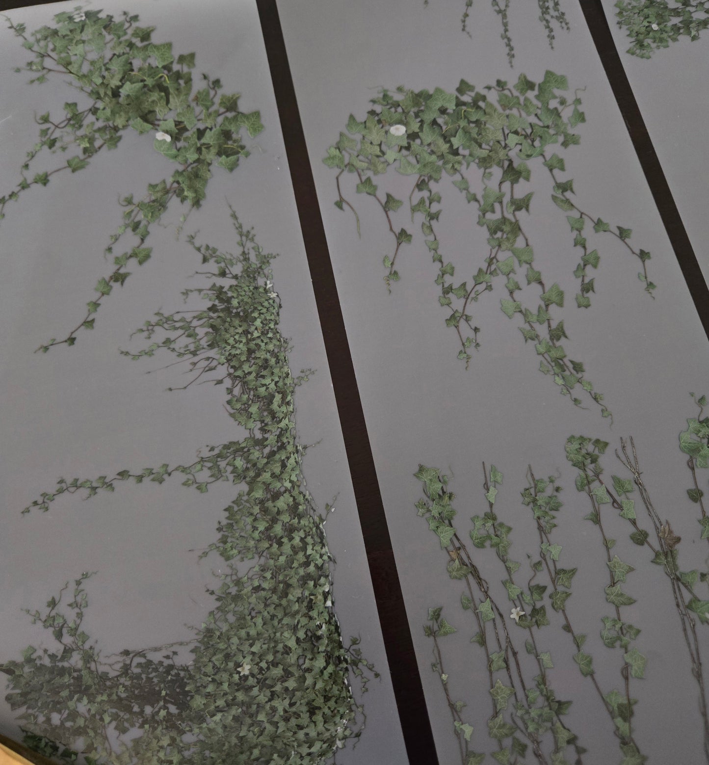 GIANT IVY - 12CM X 150CM - MARCH REALEASE