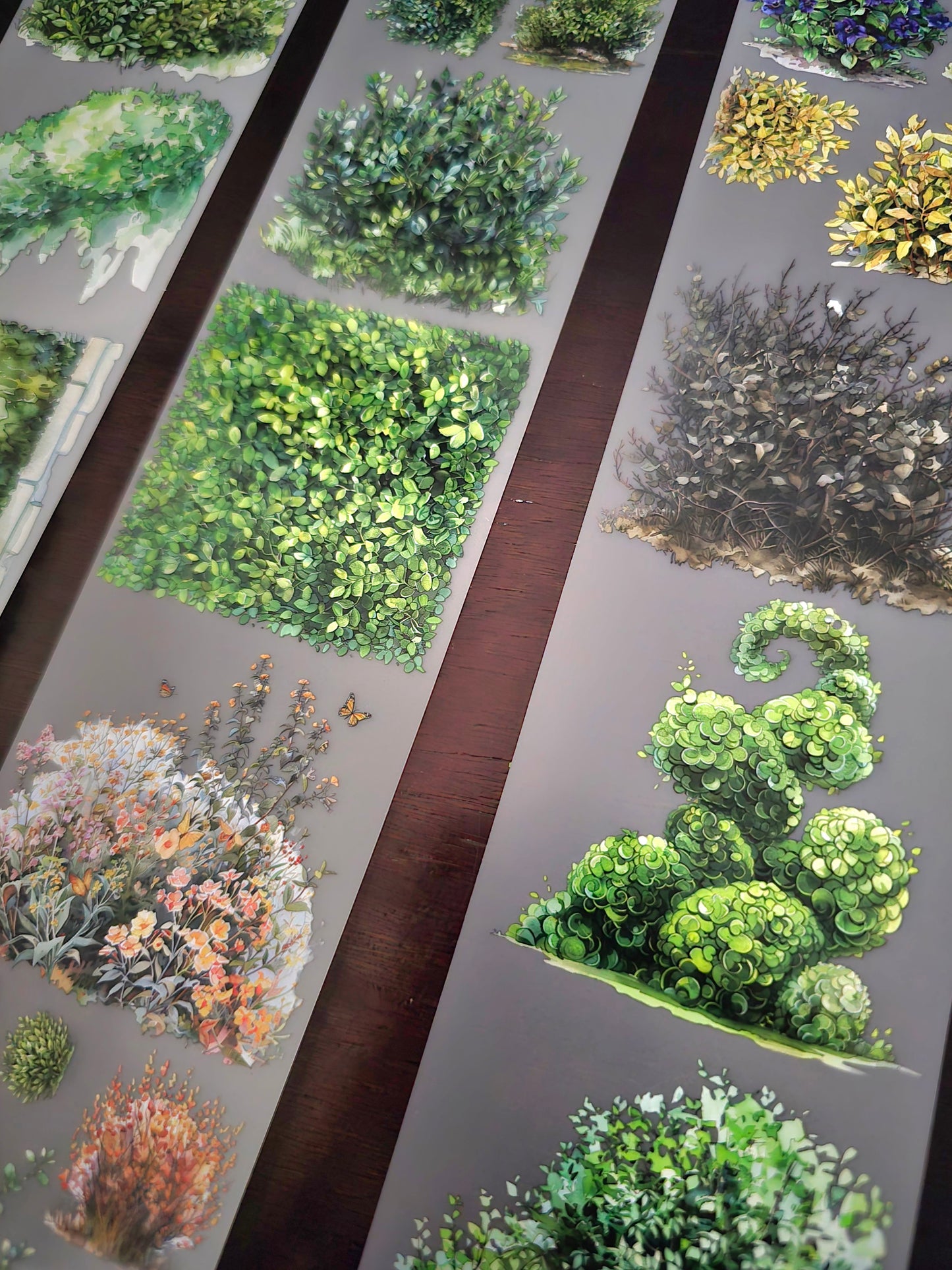 FEBRUARY LAUNCH- BUSH 2.0 - 7CM X 150CM