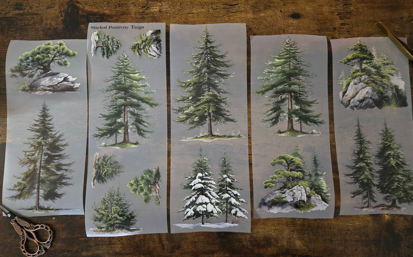GIANT TAIGA TREES - 12CM X 150CM - MARCH RELEASE