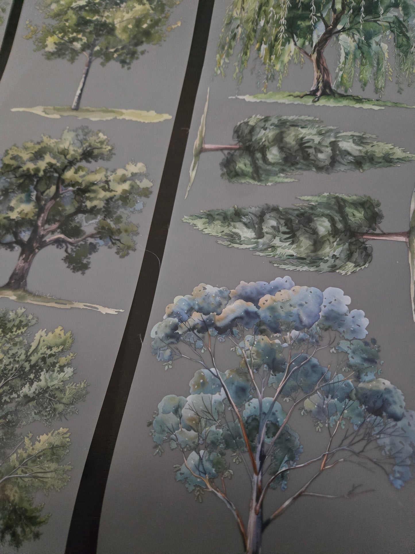 GIANT SPRING TREES - 12CM X 150cm - FEBRUARY LAUNCH