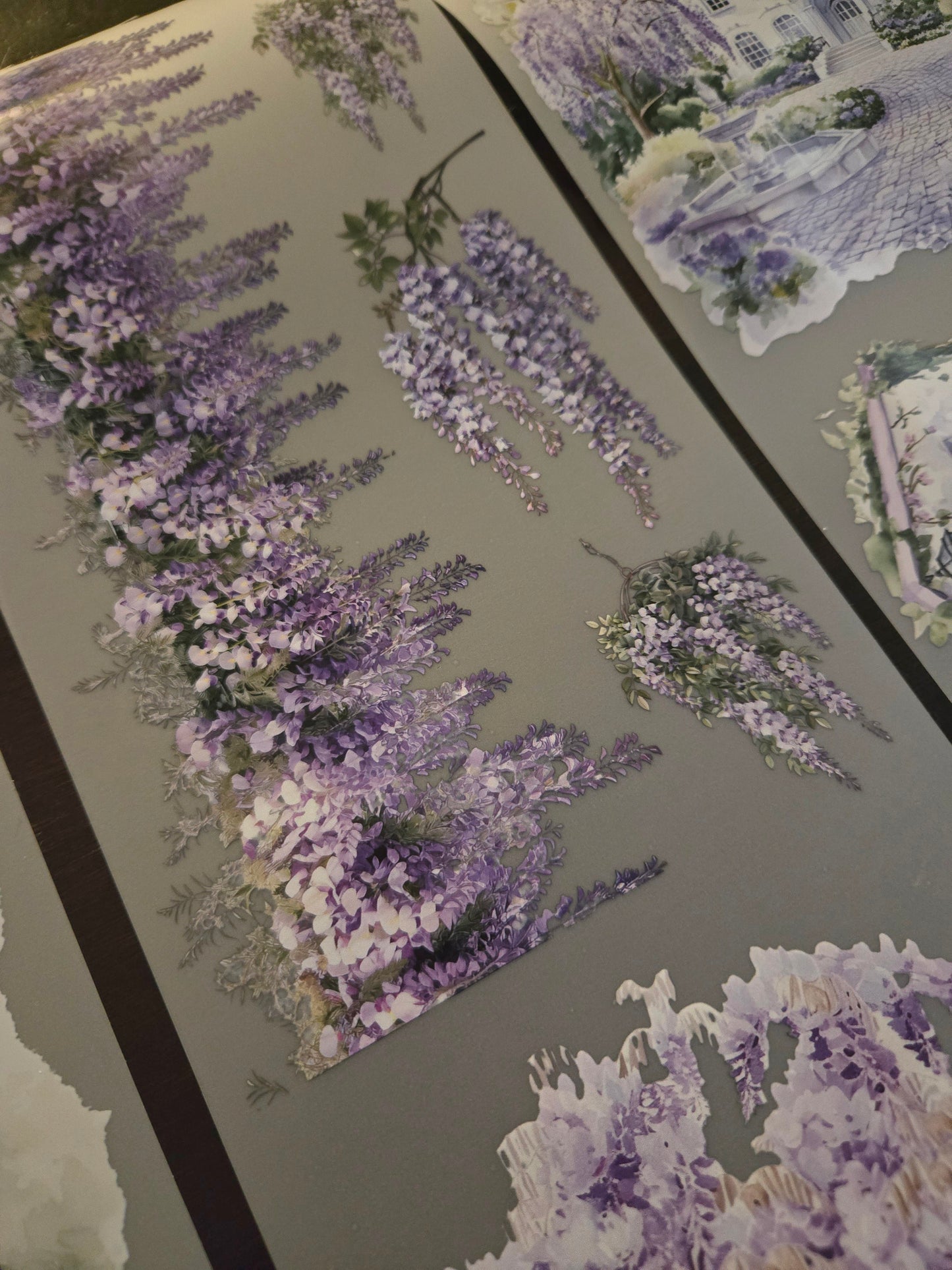 February launch - Giant Wisteria - 12cm x 150cm