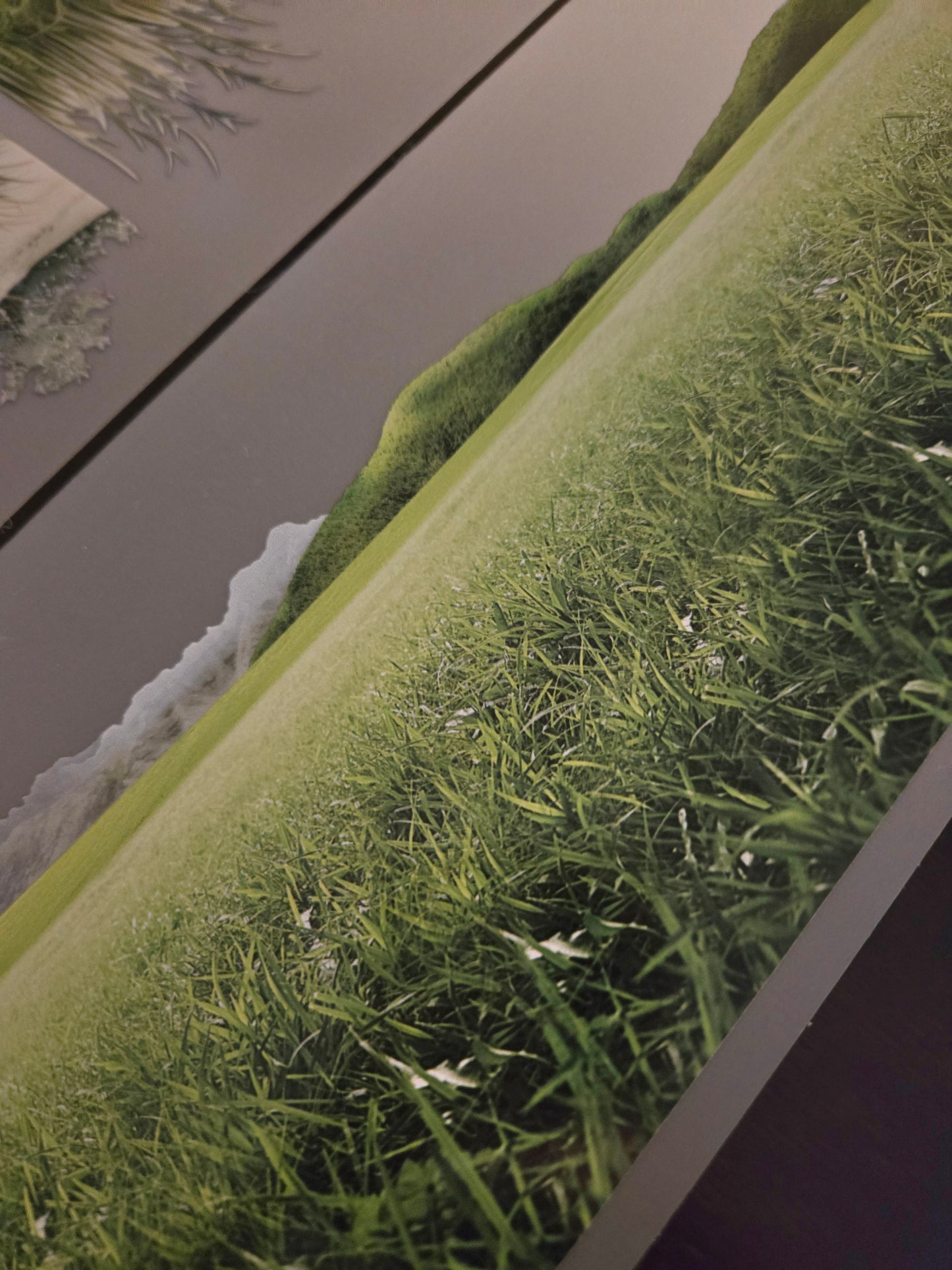 FEBRUARY LAUNCH - GIANT GRASS - 12CM X 150CM