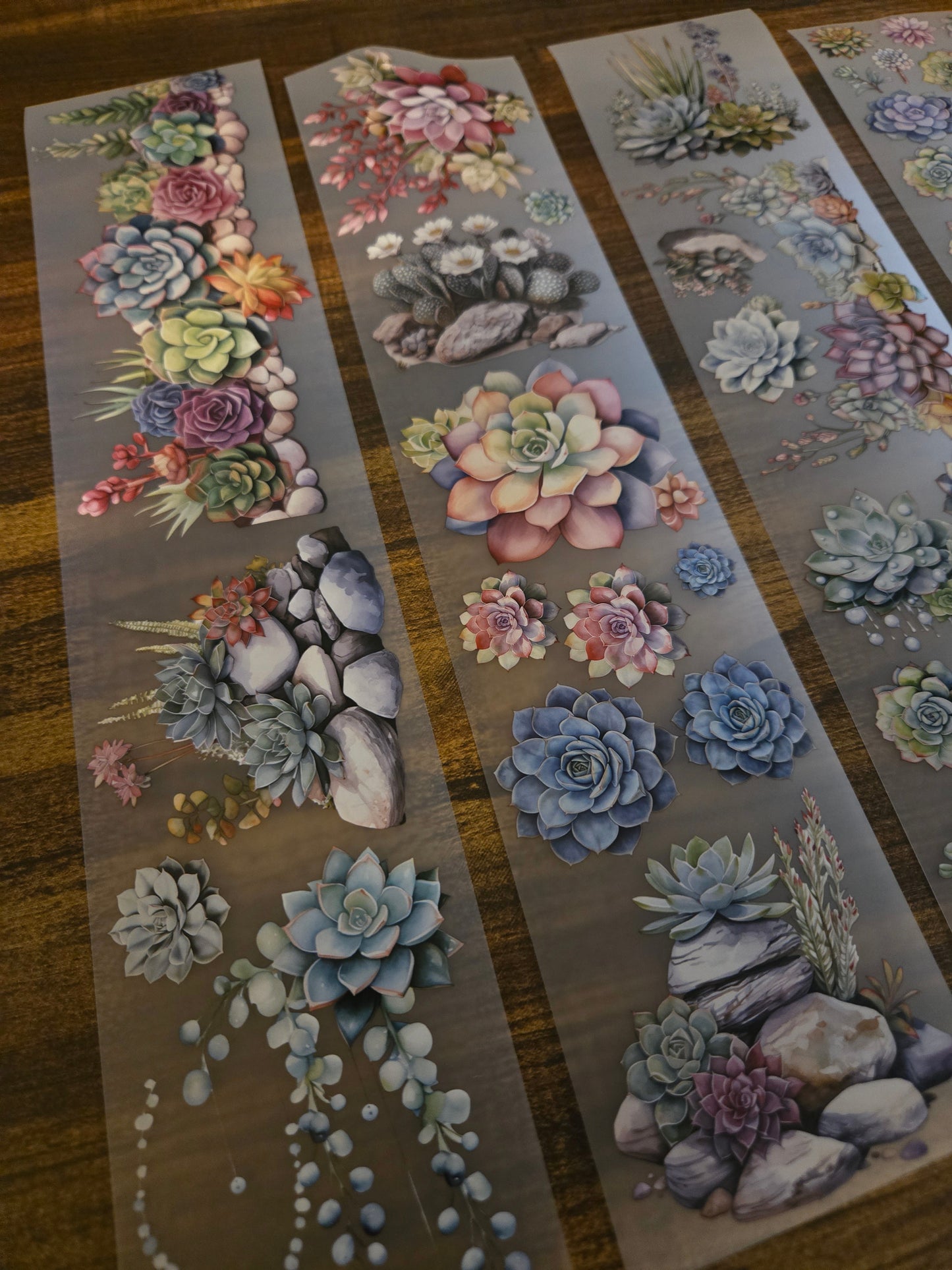 SUCCULENTS - MAY LAUNCH - 7cM X 150CM
