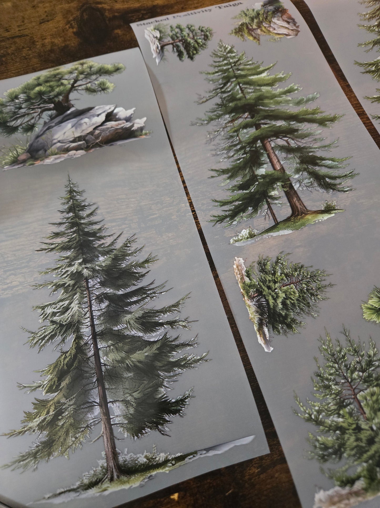 GIANT TAIGA TREES - 12CM X 150CM - MARCH RELEASE