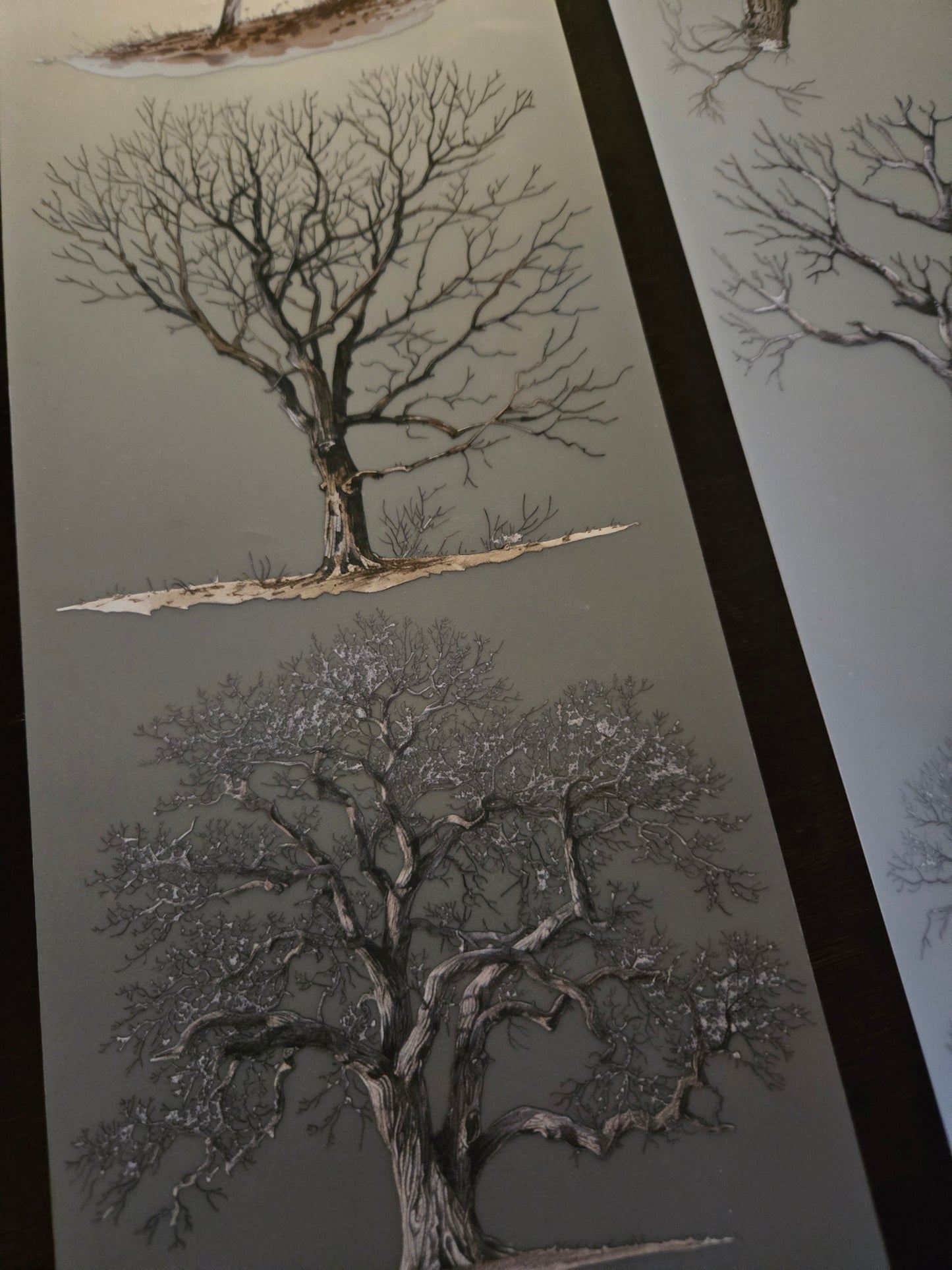 November launch RESTOCK - Giant dead tree - 12cm - 150cm