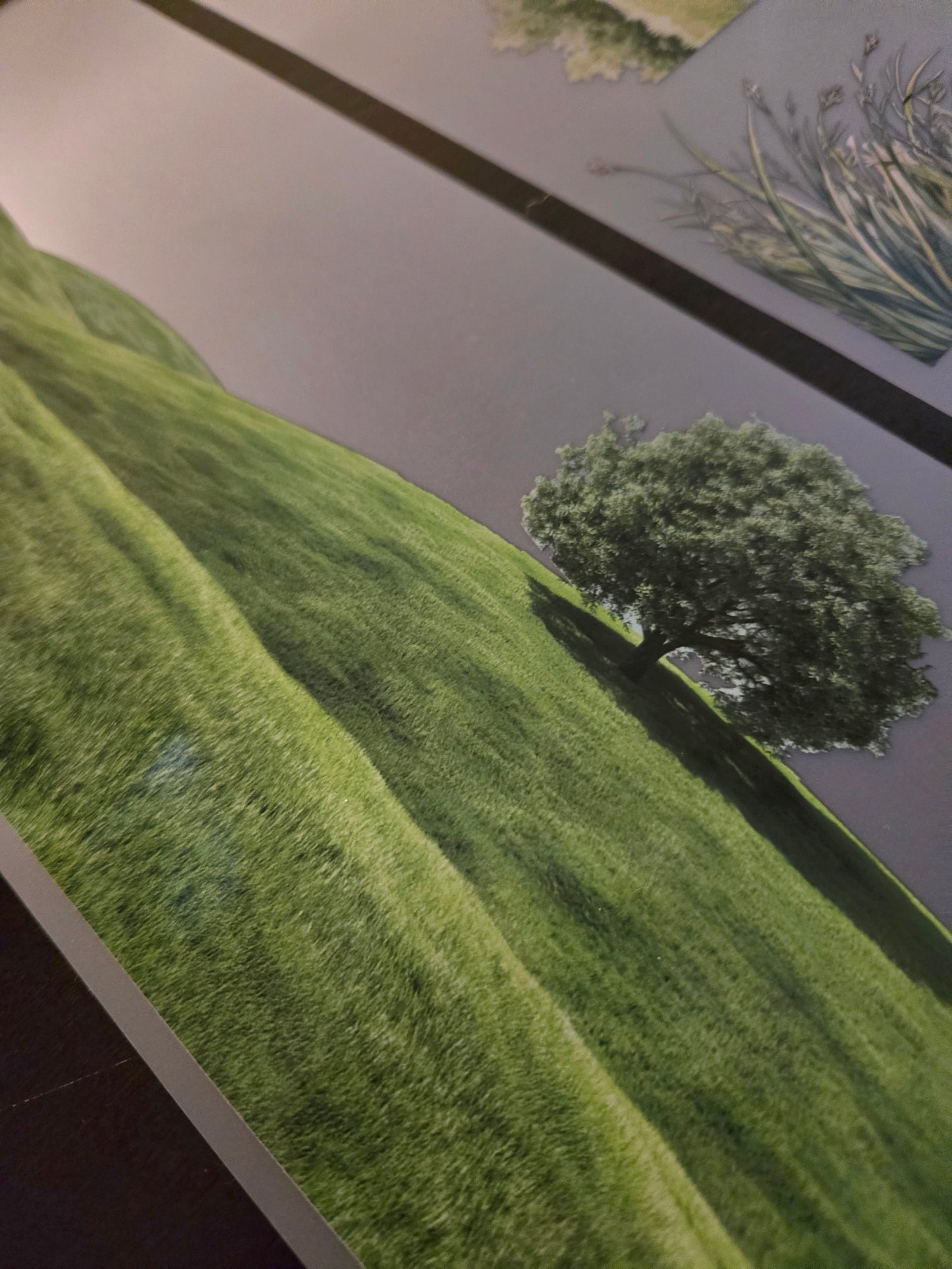 FEBRUARY LAUNCH - GIANT GRASS - 12CM X 150CM