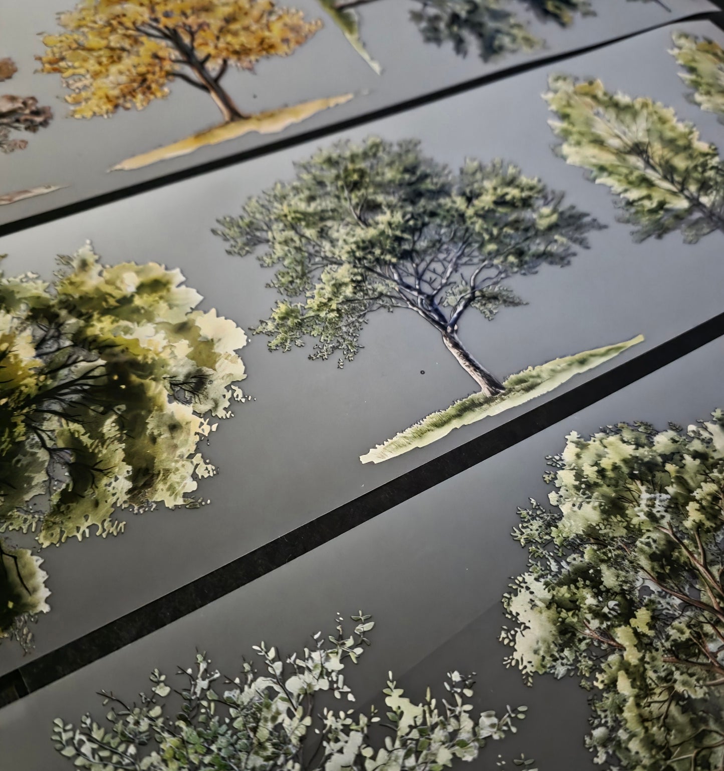 Giant Elm Tree 12mm