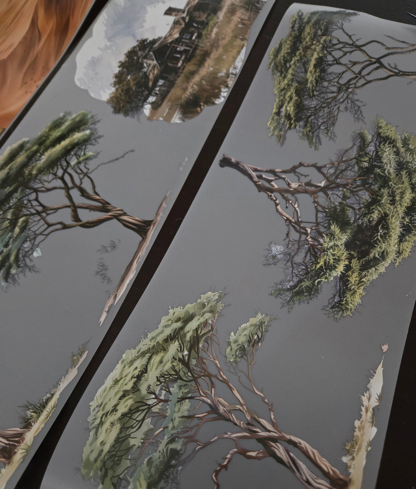 GIANT SAFARI - MARCH RELEASE