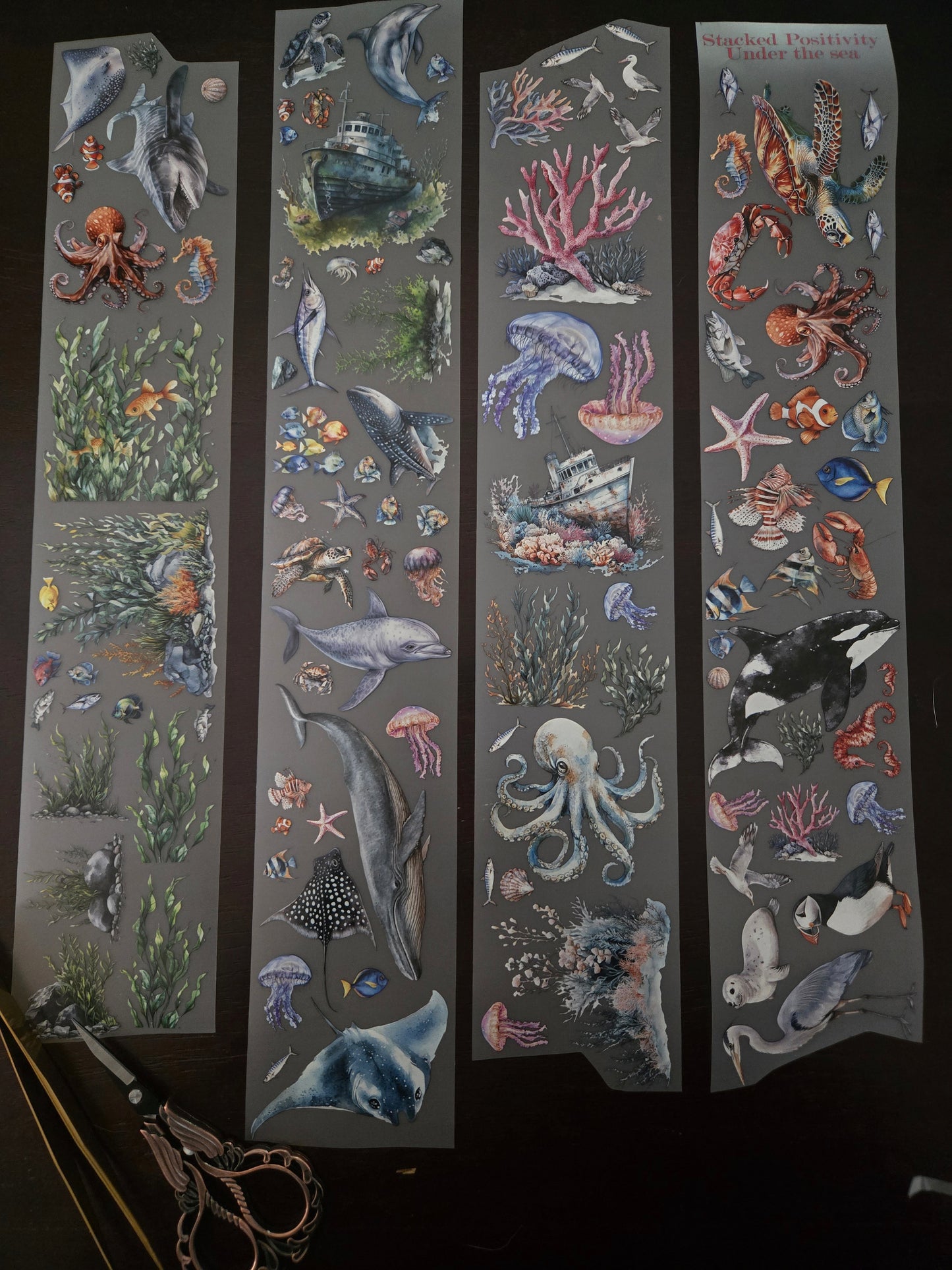 UNDER THE SEA - 7CM X 150CM - MARCH RELEASE