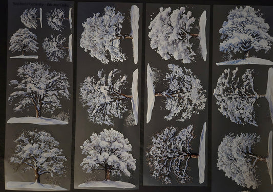 Giant Winter Oaks 12cm