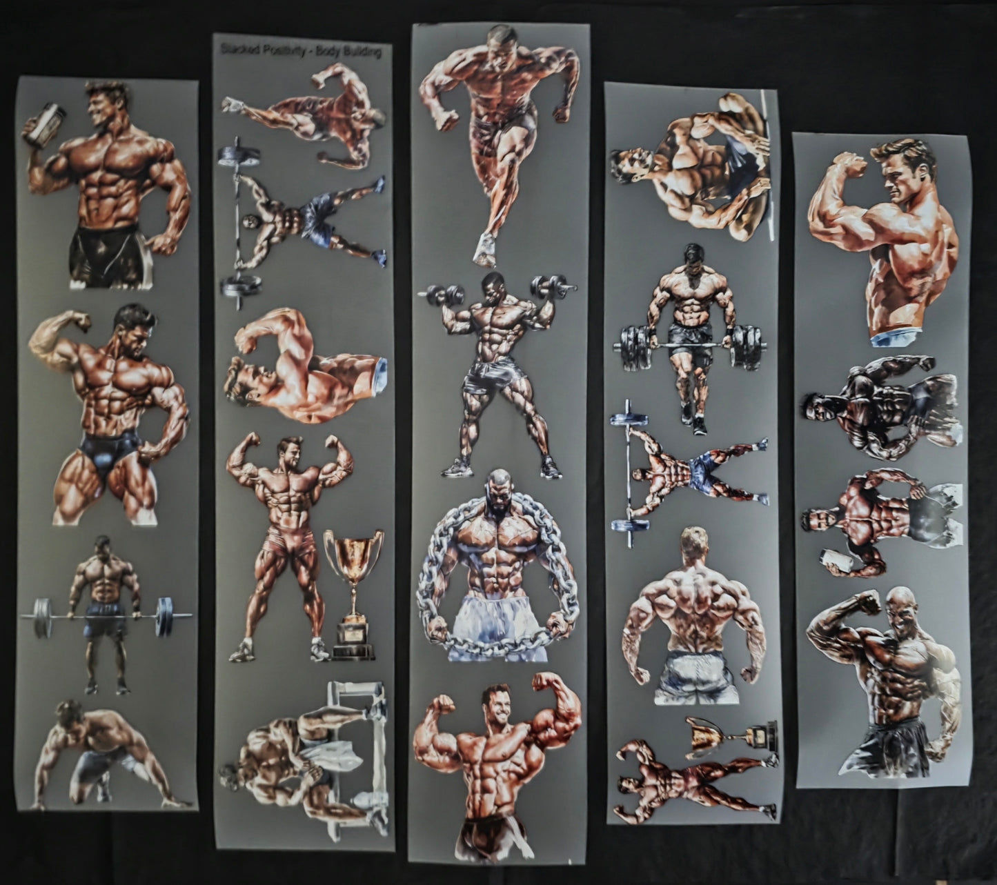 Body Building 7cm