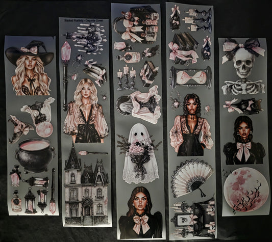 Coquette Coven 7mm