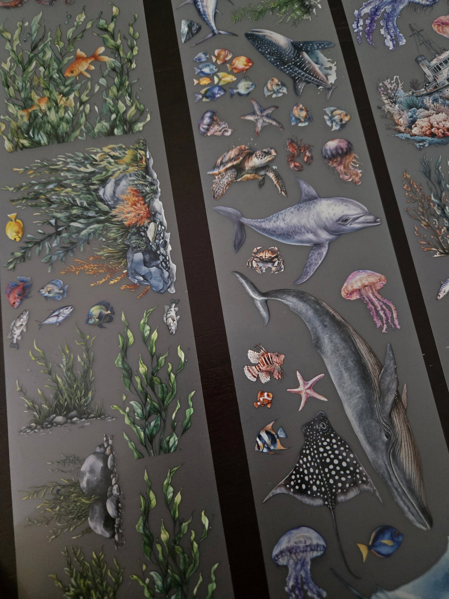 UNDER THE SEA - 7CM X 150CM - MARCH RELEASE