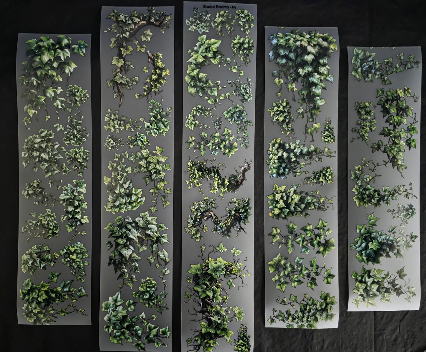 Ivy 7cm