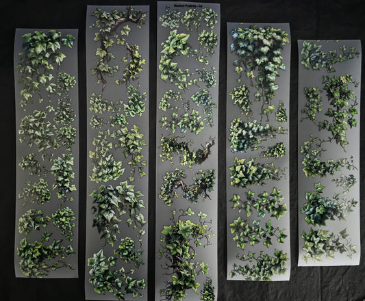 Ivy 7cm