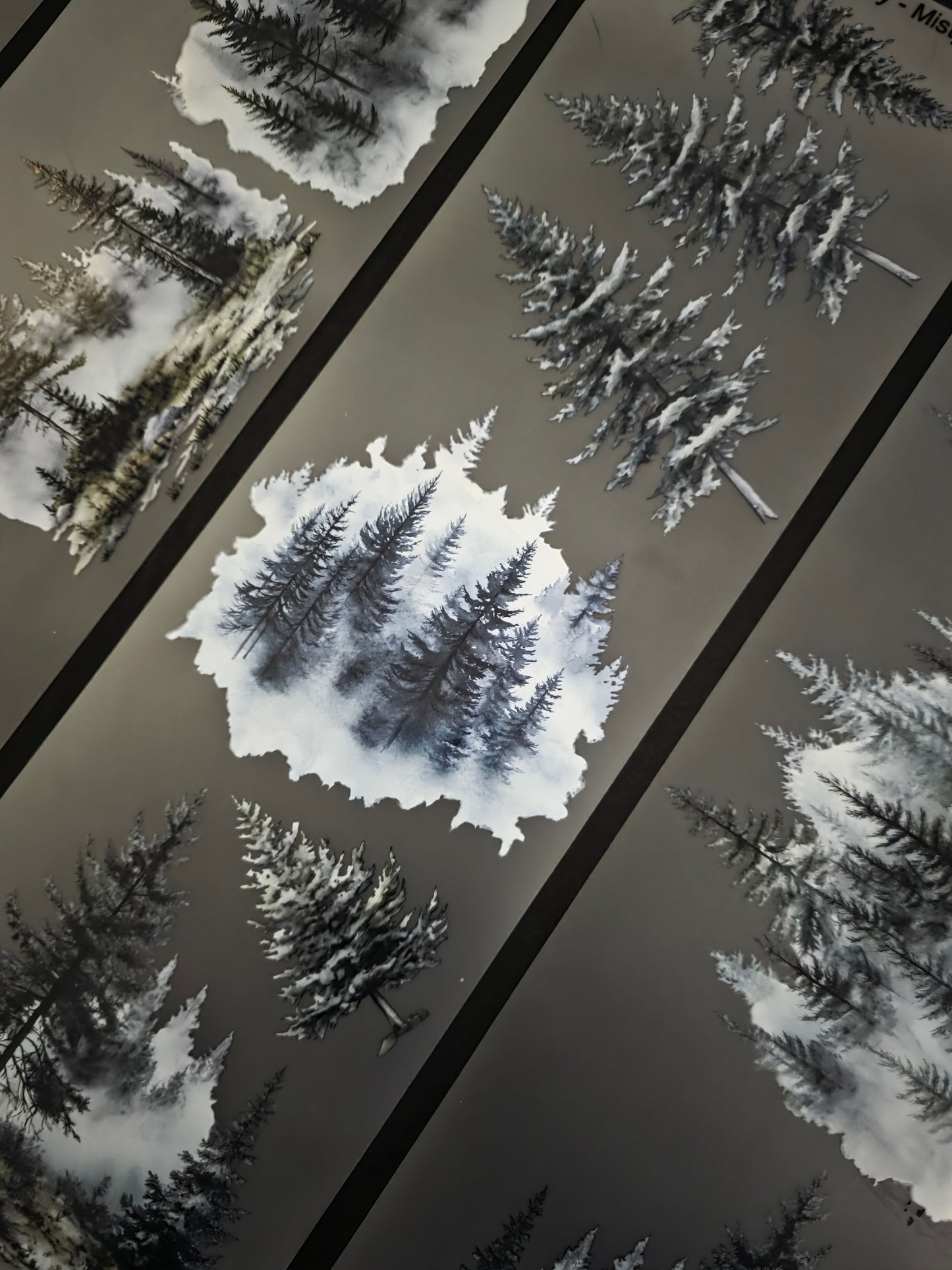 Giant Misty Pines 12cm