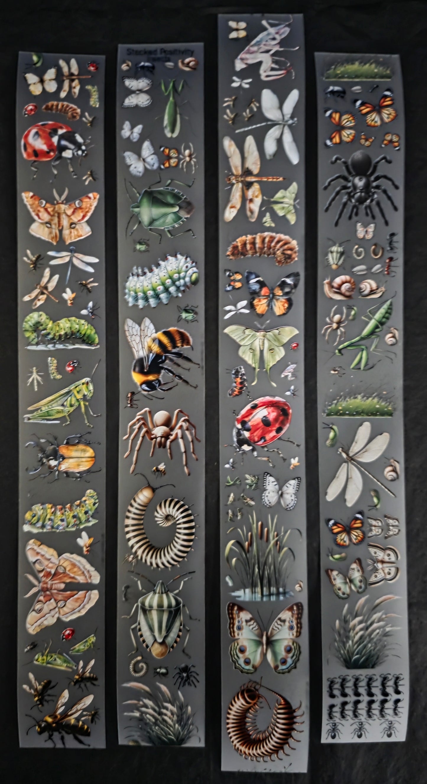 Mini Insects 🐜🐞🪲 3cm