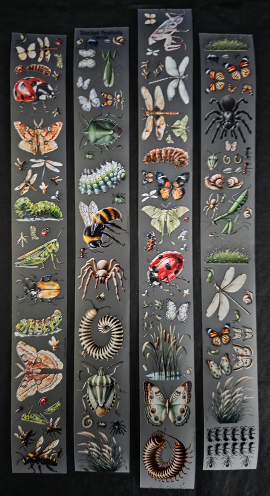 Mini Insects 🐜🐞🪲 3cm