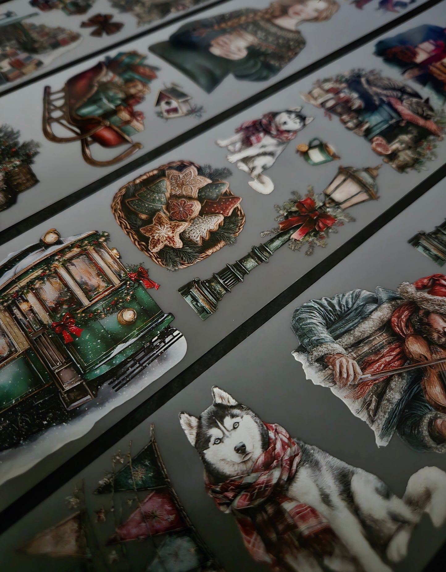Winter Market 7mm