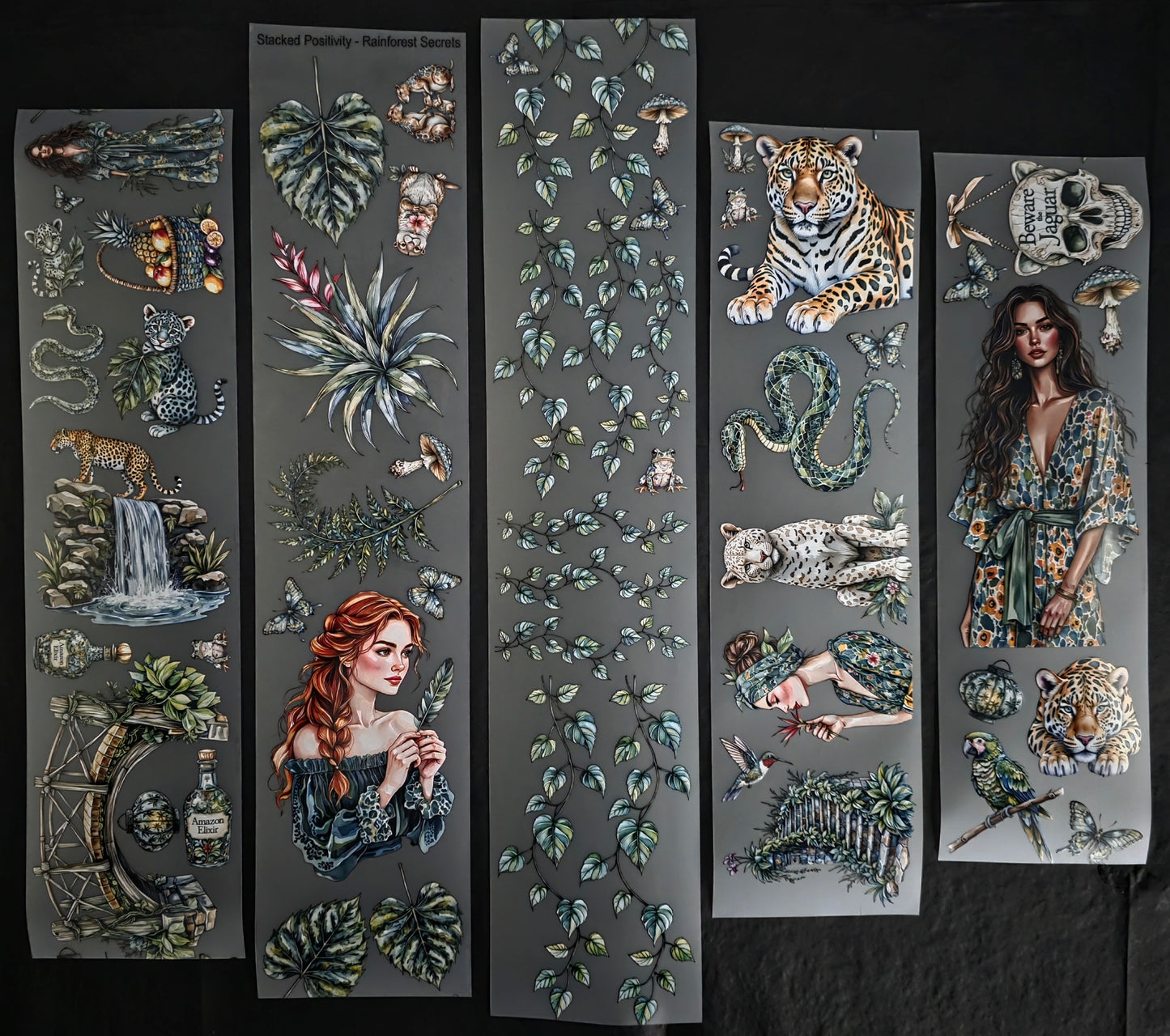 Rainforest Secrets 7cm