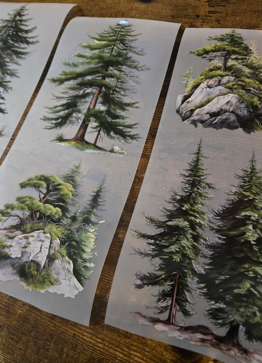 GIANT TAIGA TREES - 12CM X 150CM - MARCH RELEASE