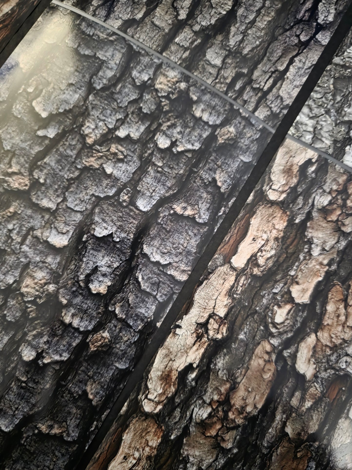 Giant Tree Bark 12cm