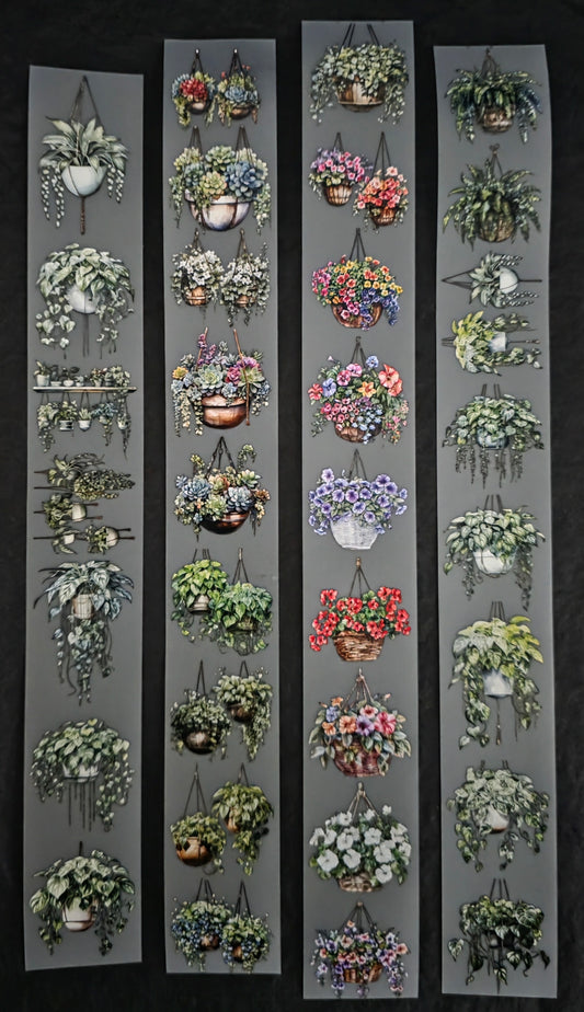 Mini Hanging Plants 🪴 3cm